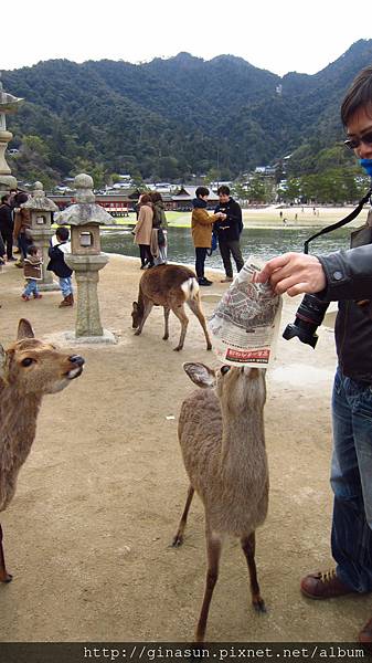 IMG_1089.JPG IMG_1089.JPG