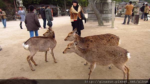 IMG_1090.JPG IMG_1090.JPG