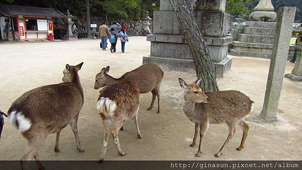 IMG_1093.JPG IMG_1093.JPG