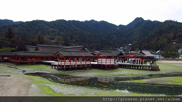 IMG_1097.JPG IMG_1097.JPG