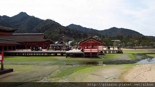 IMG_1100.JPG IMG_1100.JPG