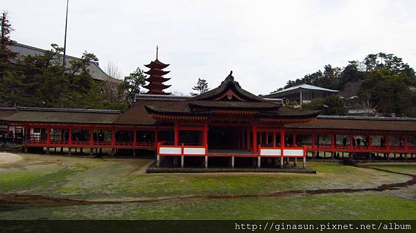 IMG_1106.JPG IMG_1106.JPG