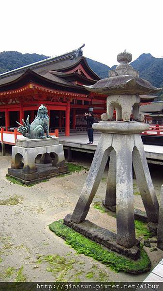 IMG_1107.JPG IMG_1107.JPG