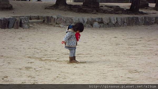 IMG_1116.JPG IMG_1116.JPG