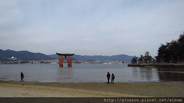 IMG_1117.JPG IMG_1117.JPG