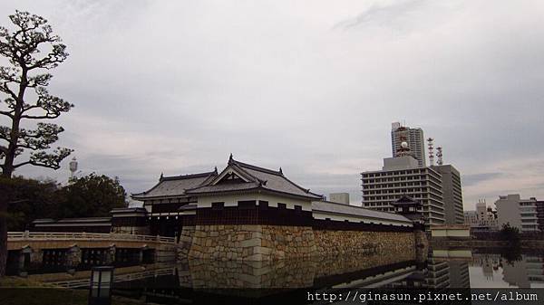 IMG_1143.JPG IMG_1143.JPG