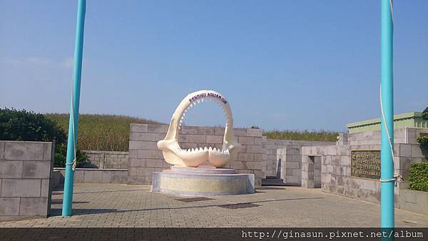 DSC_0824.jpg DSC_0824.jpg