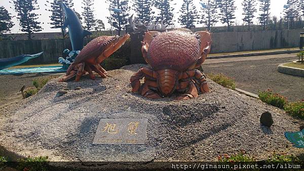 DSC_0825.jpg DSC_0825.jpg