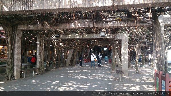 DSC_0835.jpg DSC_0835.jpg