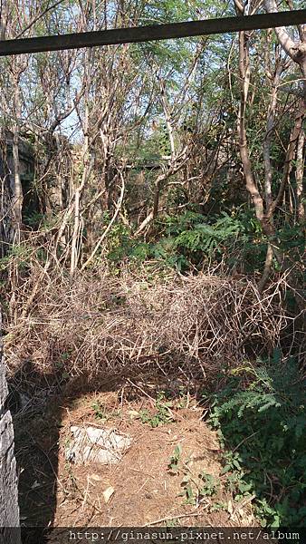 DSC_0847.jpg DSC_0847.jpg