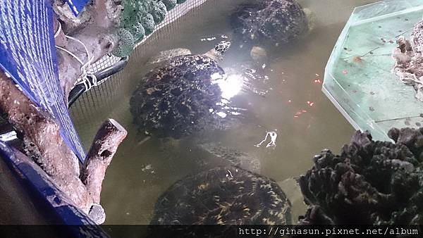 DSC_0884.jpg DSC_0884.jpg