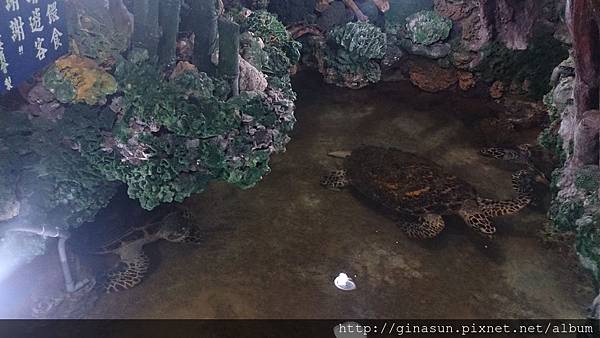 DSC_0880.jpg DSC_0880.jpg