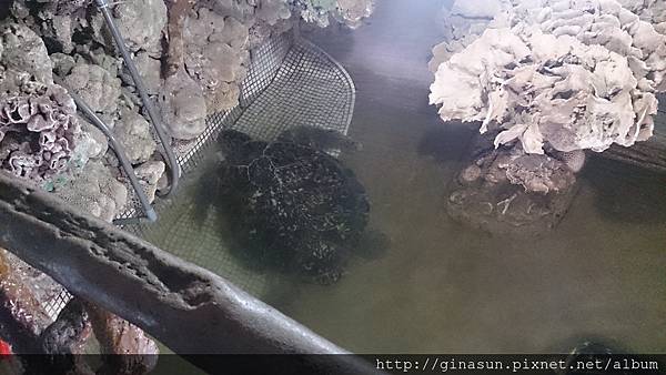 DSC_0883.jpg DSC_0883.jpg