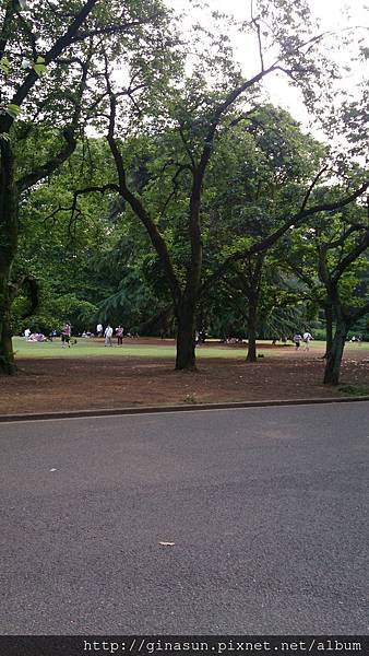 DSC_0499.JPG DSC_0499.JPG