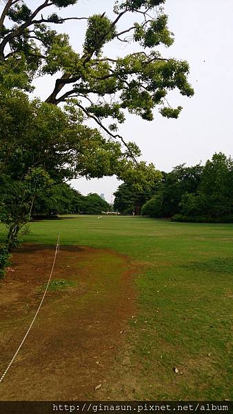 DSC_0500.JPG DSC_0500.JPG