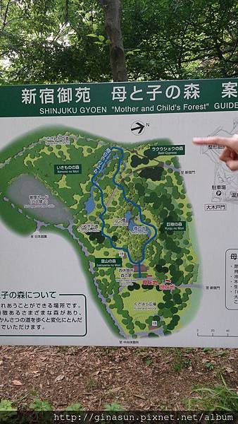 DSC_0501.JPG DSC_0501.JPG