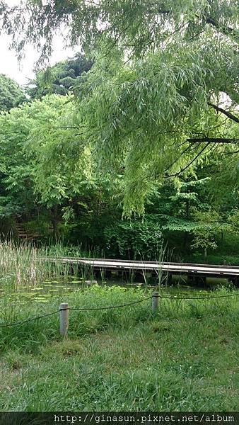 DSC_0503.JPG DSC_0503.JPG