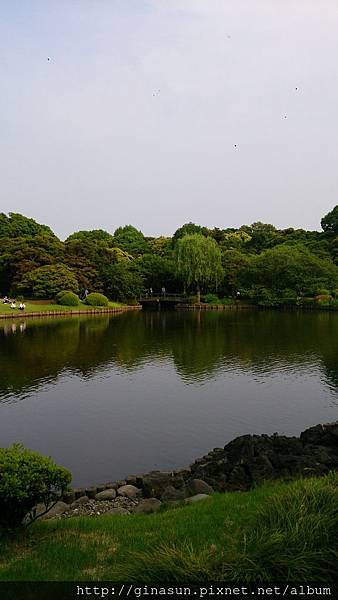 DSC_0509.JPG DSC_0509.JPG