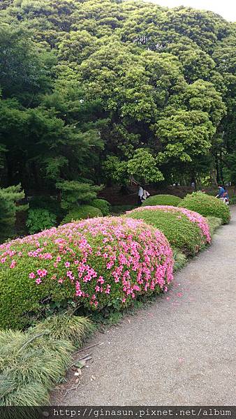 DSC_0510.JPG DSC_0510.JPG