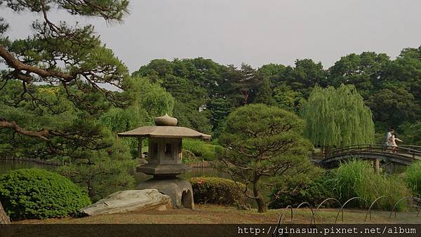 DSC_0513.JPG DSC_0513.JPG