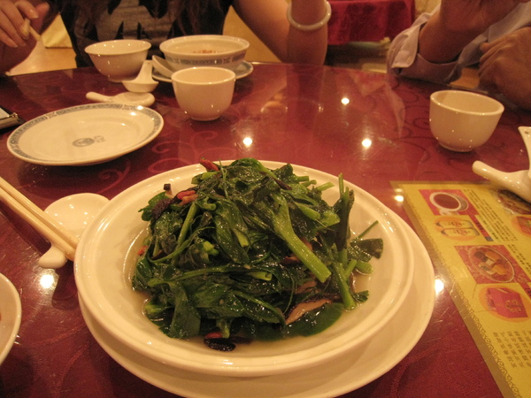 20090412京兆尹 008.jpg 20090412京兆尹 008.jpg