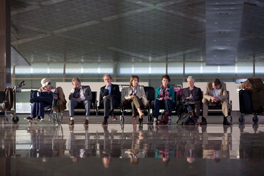 金盞花1_調整大小