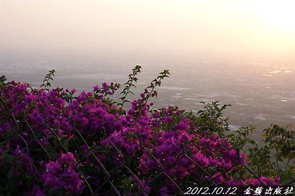 nEO_IMG_DSC06450 nEO_IMG_DSC06450