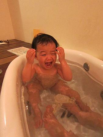 IMG_2380.jpg IMG_2380.jpg