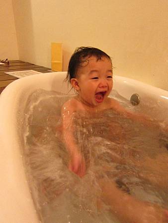 IMG_2384.jpg IMG_2384.jpg