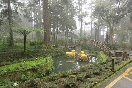 IMG_2388.jpg IMG_2388.jpg