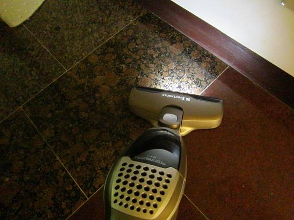 伊萊克斯zb2901 (12).jpg