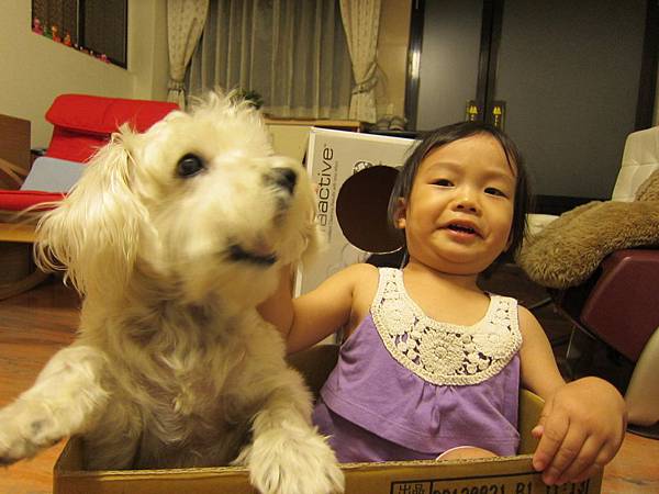 diy廚房 (12).jpg diy廚房 (12).jpg