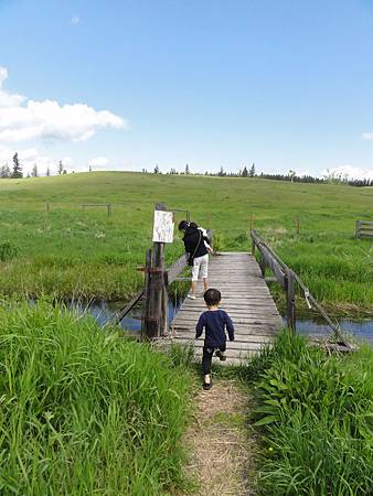 DSC00555.JPG DSC00555.JPG