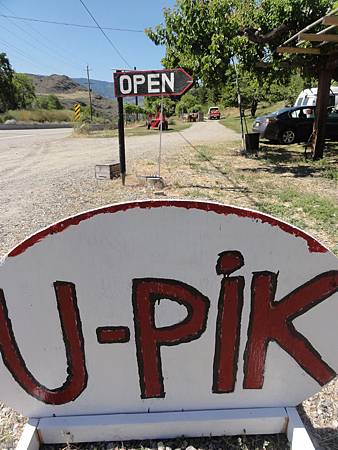 DSC00242.JPG DSC00242.JPG