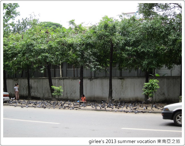 IMG_7307 (2) IMG_7307 (2)