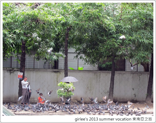 IMG_7308 (2) IMG_7308 (2)