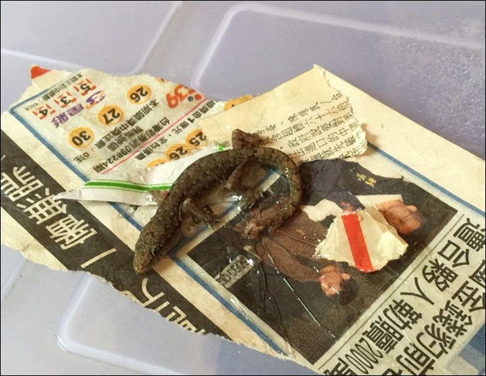 S__12656656 S__12656656