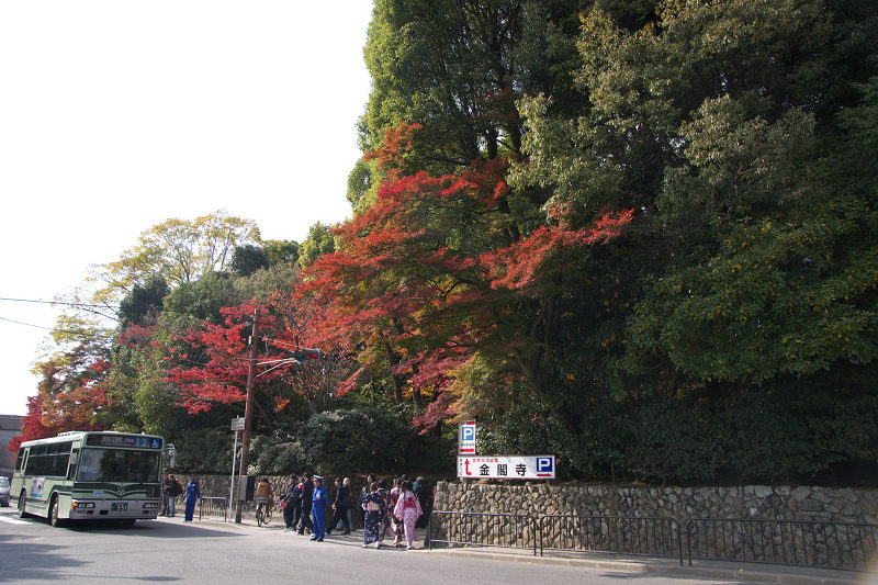 DSC06224.jpg DSC06224.jpg