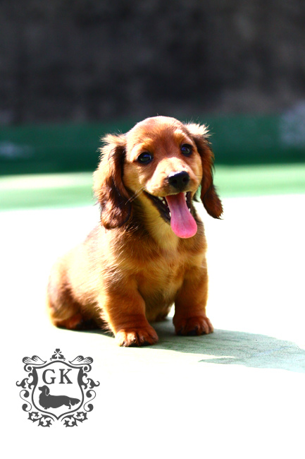 IMG_59490.jpg IMG_59490.jpg