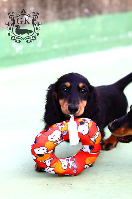 IMG_66410大 IMG_66410大