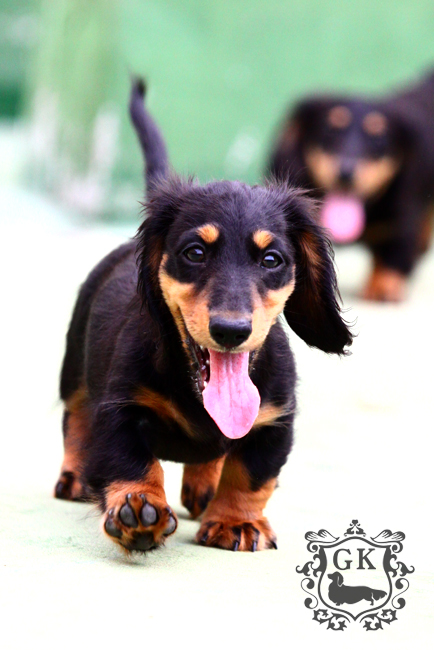 IMG_66960大 IMG_66960大