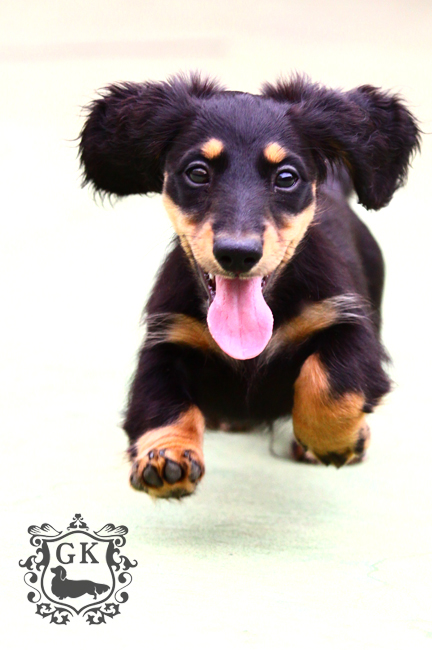 IMG_67210小 IMG_67210小