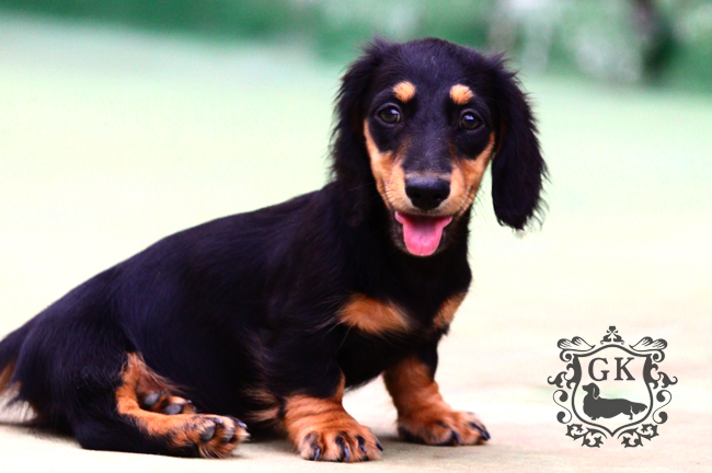 IMG_67110二 IMG_67110二