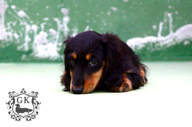 IMG_67360大 IMG_67360大