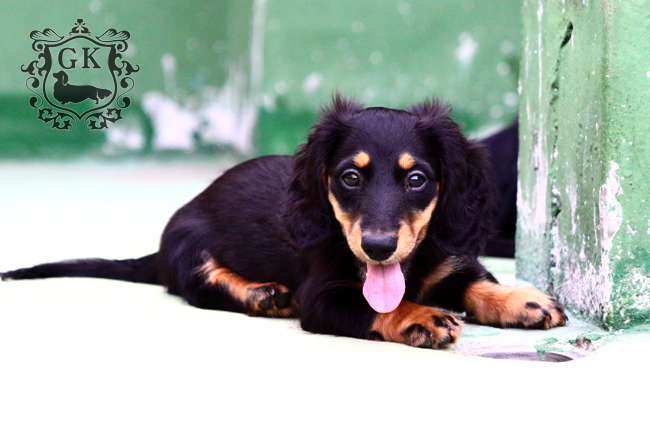 IMG_67280小 IMG_67280小