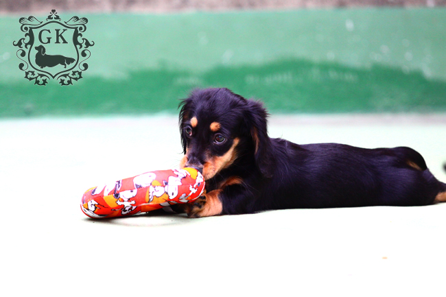 IMG_67640二 IMG_67640二