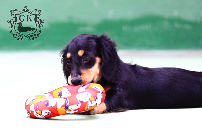 IMG_67660二 IMG_67660二