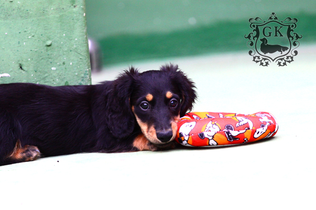 IMG_67930小 IMG_67930小