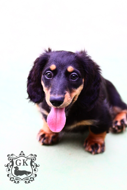 IMG_68130小 IMG_68130小