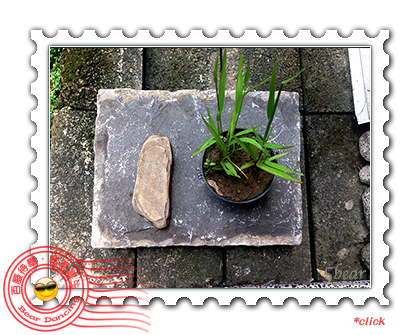 台灣雜草1.png 台灣雜草1.png